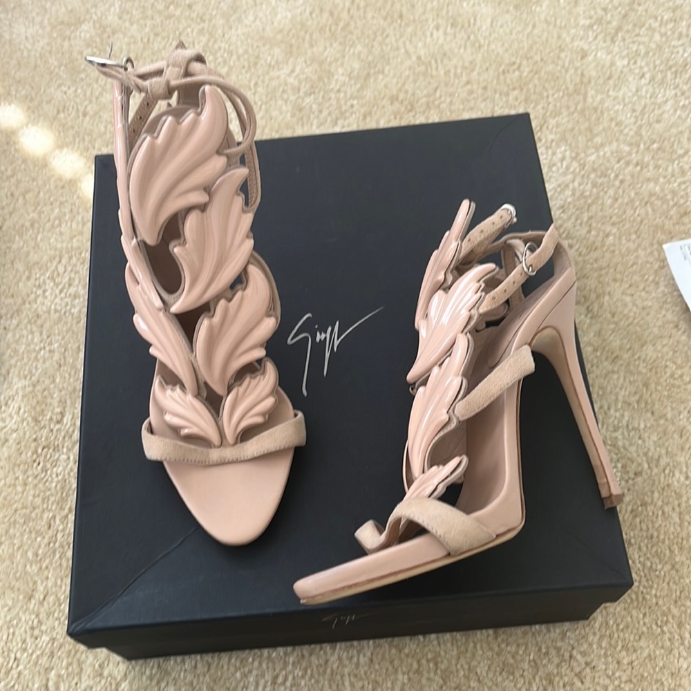 Giuseppe zanotti